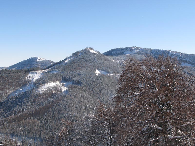 Hochstaff, Schwarzkogel und Reisalm